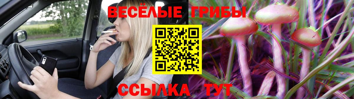 Галлюциногенные грибы MAGIC MUSHROOMS  Вход с VPN  Долгопрудный 